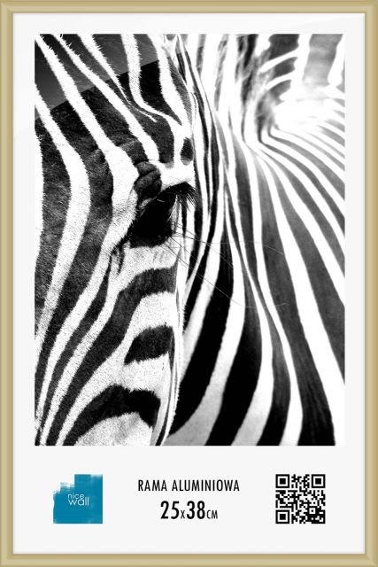 Nice Wall Rama aluminiowa 25x38 cm ALUCZ25X38