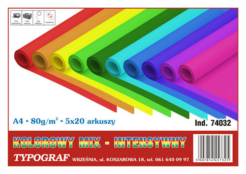 Papier typograf A4/80 g intens 20 x 5 kolorów (100)