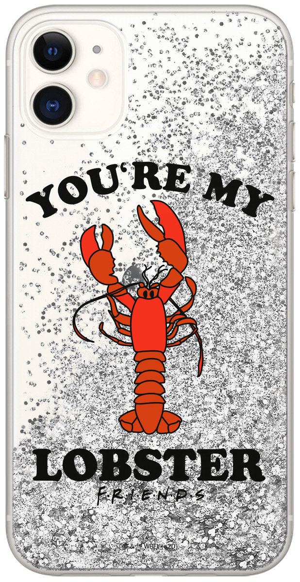 Etui na  IPHONE XS Max Friends 007 Srebrny