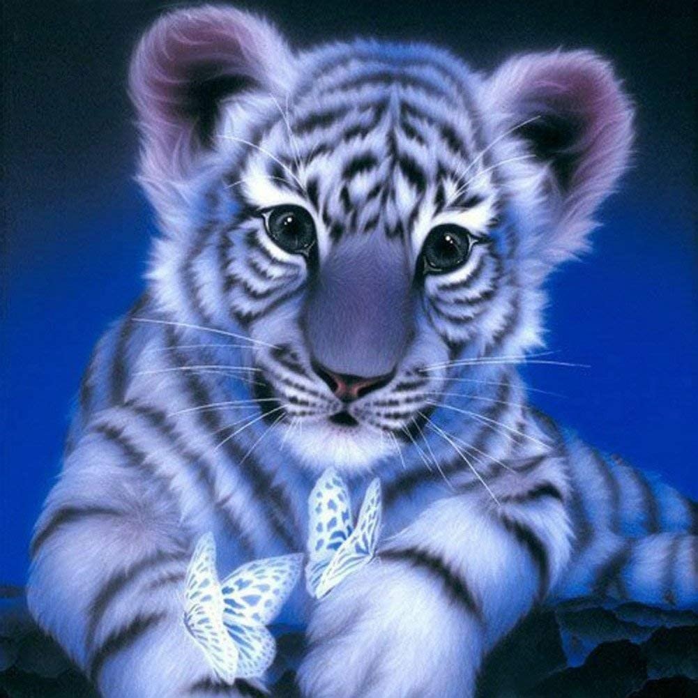 Mozaika Diamentowa 5D Haft Malowanie Tygrysek Kot ** KUP Z DOSTAWĄ TEGO SAMEGO DNIA DO NAJWIĘKSZYCH MIAST ** 0000045788