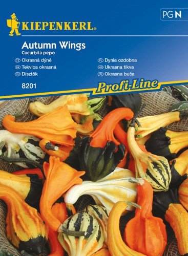 Kiepenkerl Dynia ozdobna Autumn Wings Kiepenkerl 102594