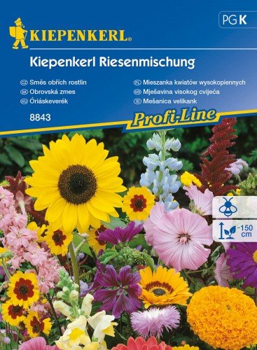 Kiepenkerl Mieszanka kwiatów wysokopiennych Kiepenkerl 102620