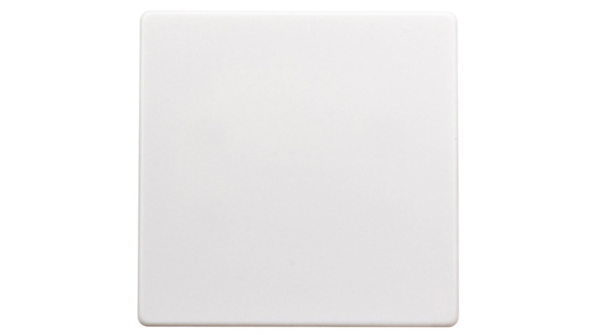 Berker Q1/Q3/Q7 biały klawisz pojedynczy B_16206089