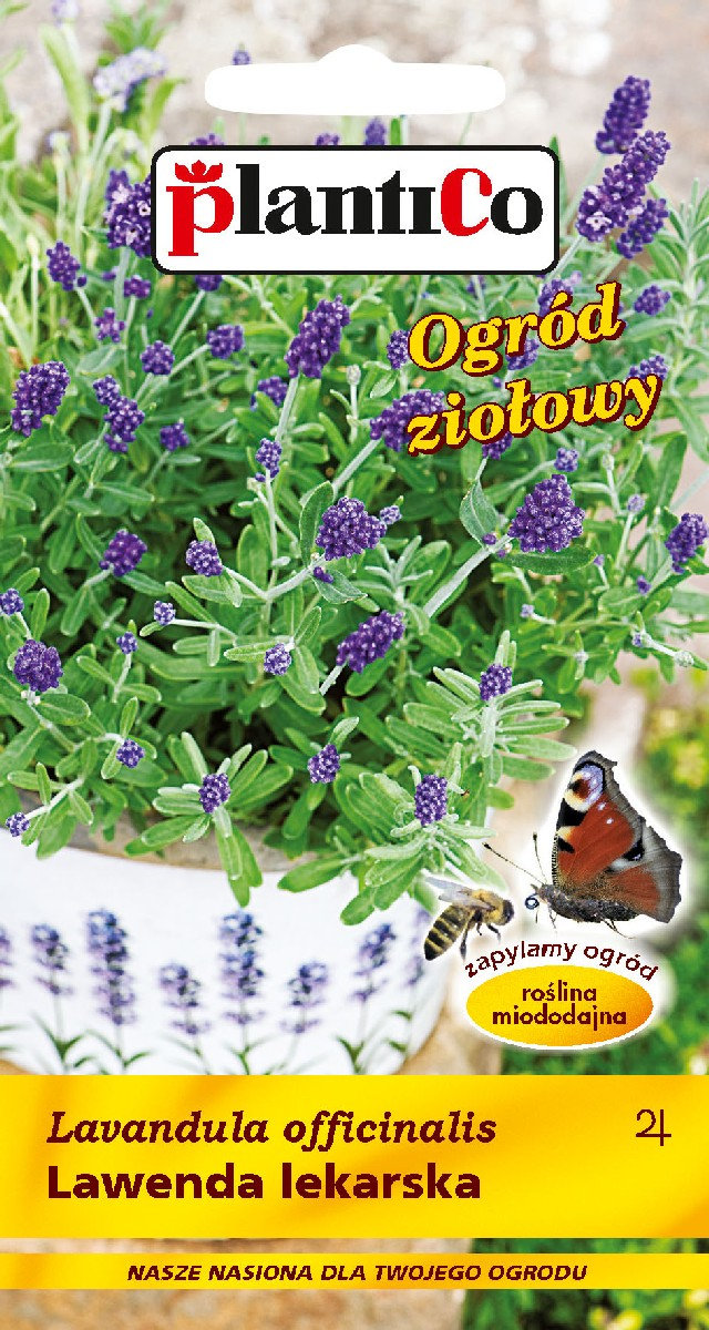 Plantico Lawenda lekarska