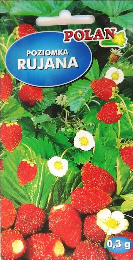 Poziomka Polan