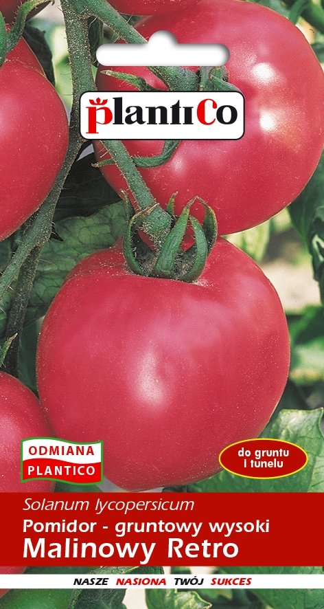 Plantico Pomidor wysoki Malinowy Retro