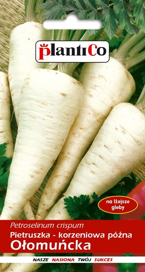 Plantico Pietruszka korzeniowa Ołomuńcka