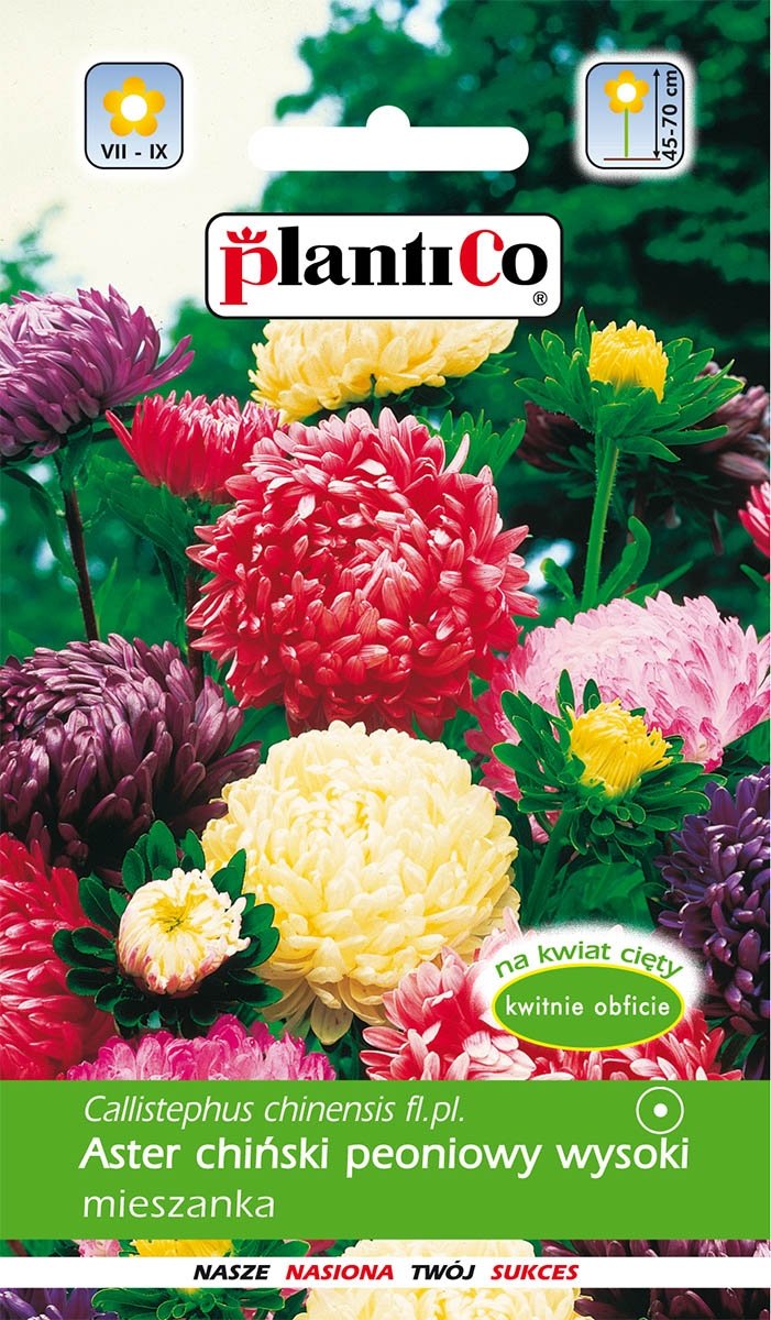 Plantico Aster chiński peoniowy mix
