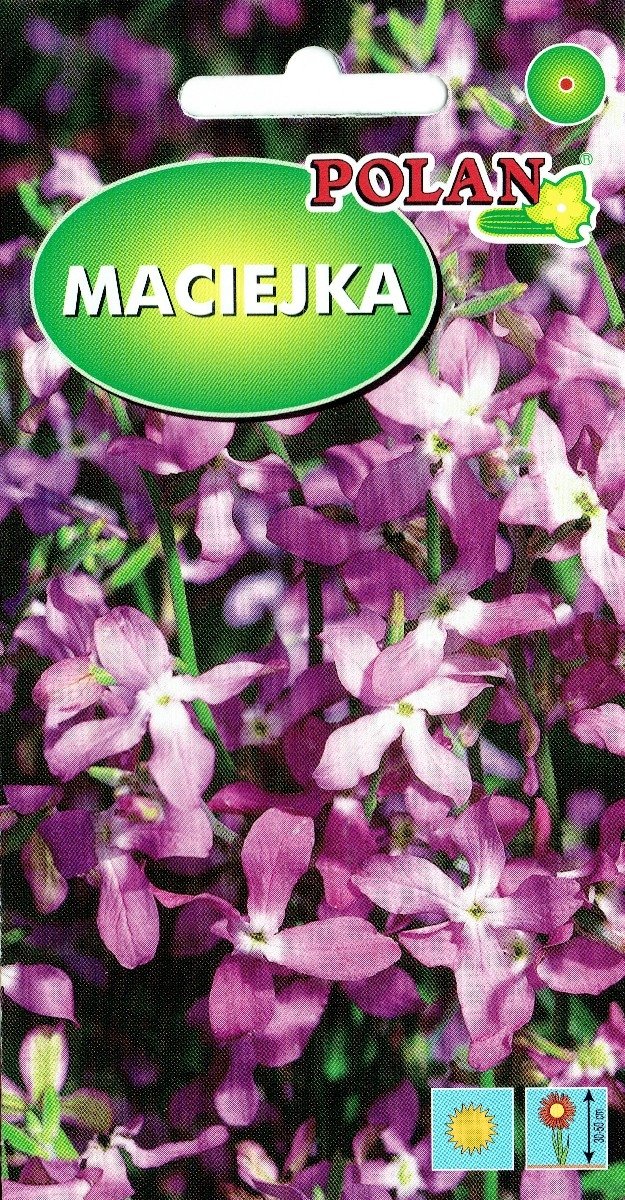Maciejka Nasiona 5g Polan