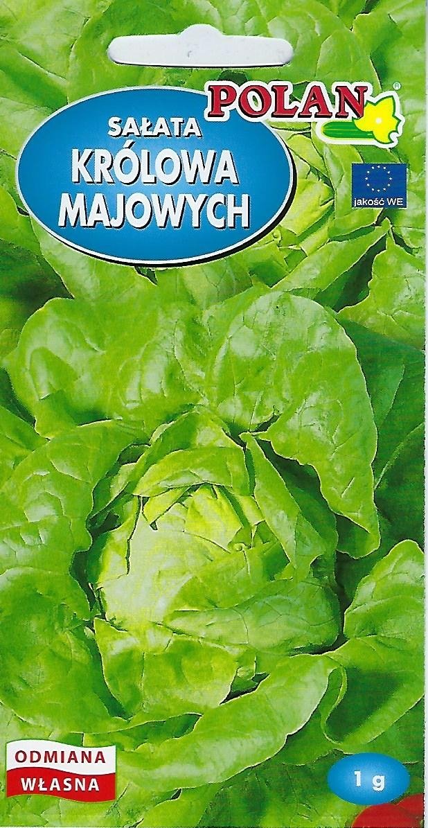 Sałata Masłowa Królowa Majowych Nasiona 1g Polan