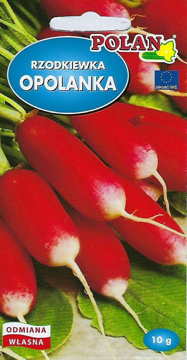 Rzodkiewka Opolanka Nasiona 10g Polan