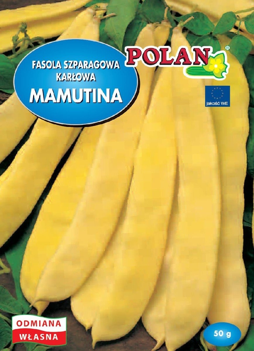 Fasola Karłowa Mamutina Nasiona 50g Polan