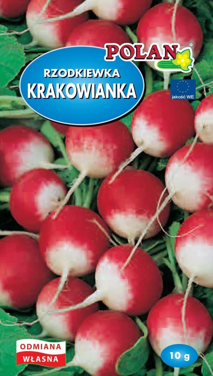 Rzodkiewka Krakowianka Nasiona 10g Polan