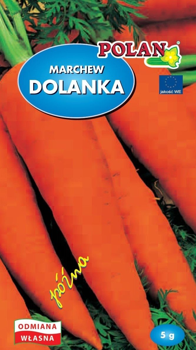 Marchew Jadalna Dolanka Nasiona 5g Polan
