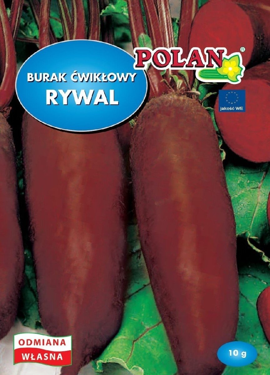 Burak Ćwikłowy Rywal Nasiona 10g Polan