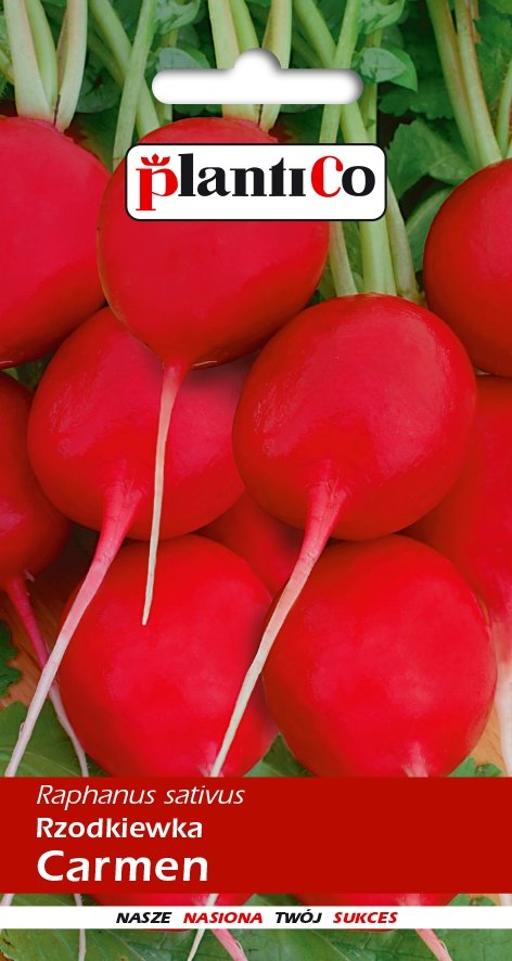 Plantico Rzodkiewka Carmen