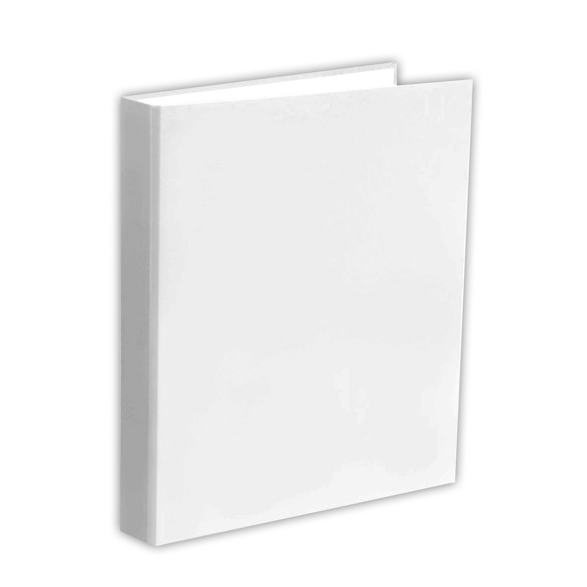 Penmate Segregator TT-30 A4/2 biały