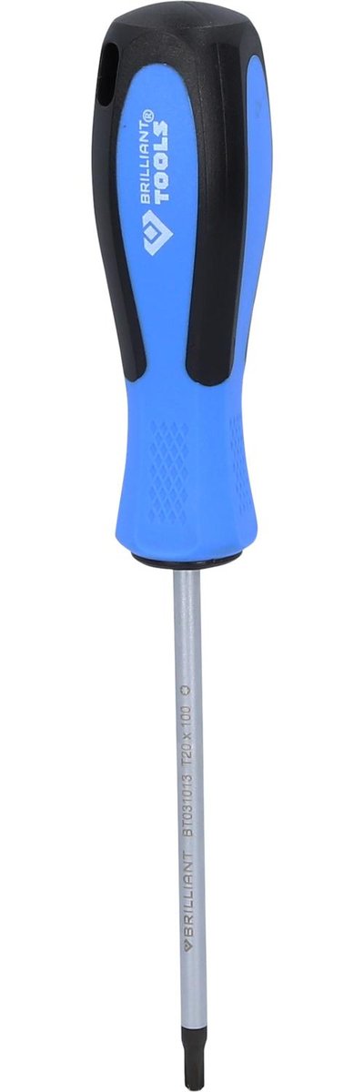 Brilliant Tools Wkr?tak TORX, T20 x 100 mm