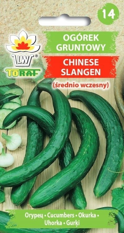 Ogórek Sałatkowy Chinese Slangen Średnio Wczesny