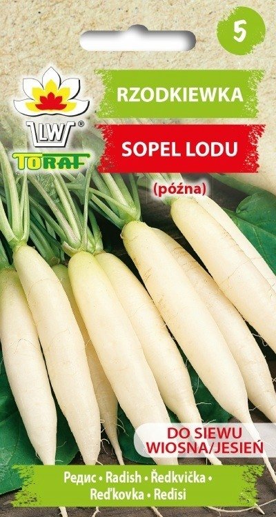 Rzodkiewka Późna Sopel Lodu 10G