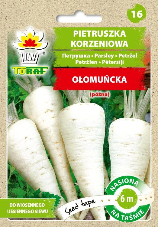 Toraf Pietruszka Ołomuńcka nasiona na taśmie 6m 00650