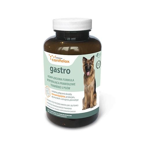 Canifelox Gastro 240 g dla psów na prawidłowe trawienie