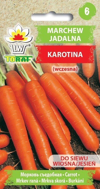 Toraf Marchew Karotina nasiona warzyw 5g 00145