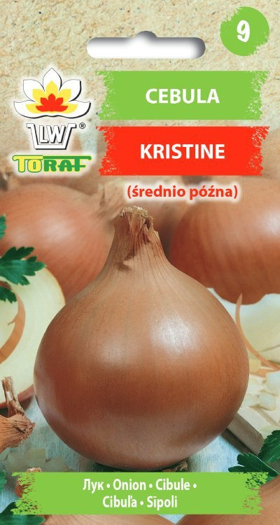 Cebula KRISTINE (średnio późna) Allium cepa L.