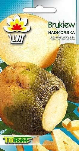 Toraf Brukiew Wilhelmburska nasiona warzyw 10g 00057