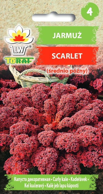 Toraf Jarmuż Scarlet nasiona warzyw 1g 00112