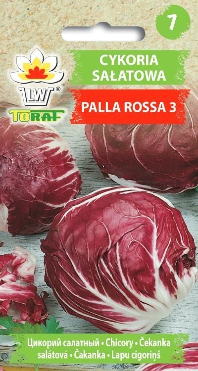 Cykoria sałatowa PALLA ROSSA 3 (czerwona) Cichorium intybus L. var. foliosum Hegi