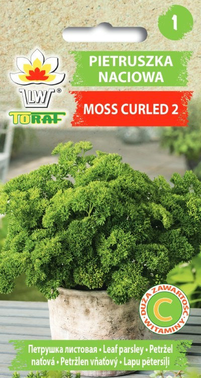 Pietruszka naciowa kędz. MOSS CURLED 2 Petroselinum crispum