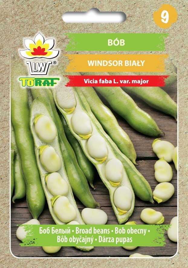 Toraf Bób Windsor nasiona warzyw 50g 00055