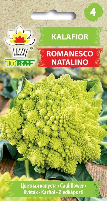 Toraf Kalafior Romanesco Natalino nasiona warzyw 1g 00116