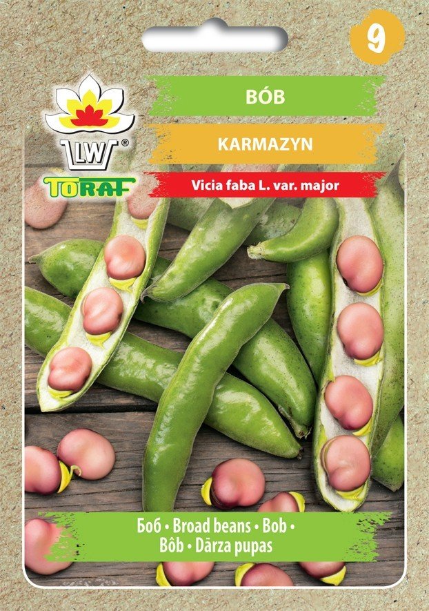 Bób KARMAZYN
Vicia faba L. var. Major