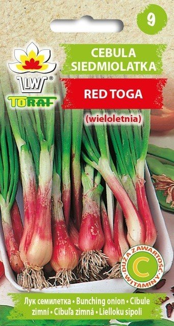 Toraf WARZYWA Cebula Siedmiolatka Red Toga 1g 01409