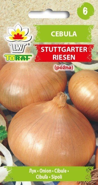 Toraf Cebula Stuttgarter Riesen nasiona warzyw 3g 00072