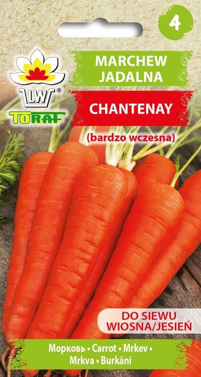 Marchew CHANTENAY (b. wczesna) Daucus carota L.