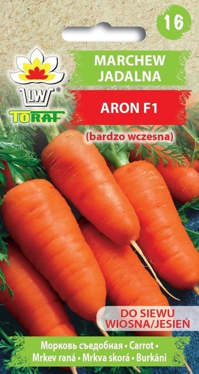 Toraf WARZYWA Marchew Aron nasiona 2g 01225