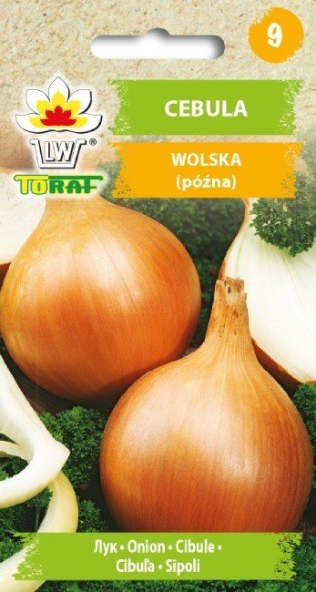 Cebula WOLSKA (późna)
Allium cepa L.