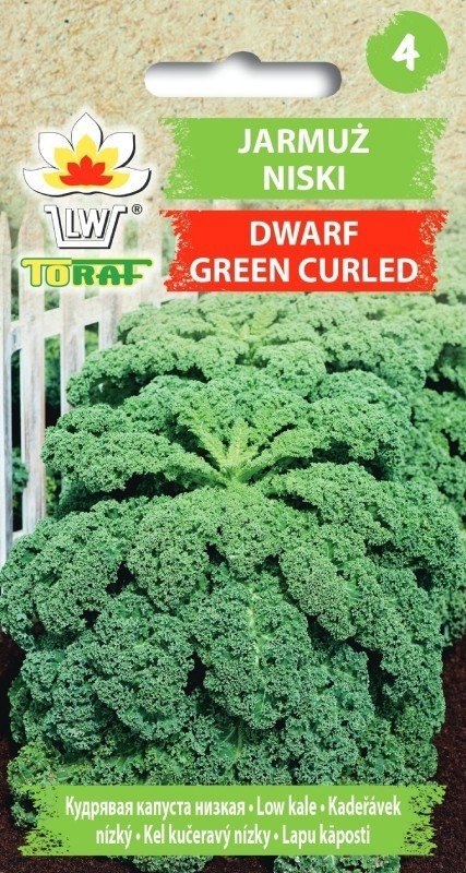 Toraf Nasiona Jarmuż Dwarf Green Curled 1g