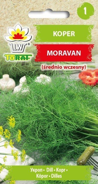 Toraf Koper ogrodowy Moravan nasiona warzyw 5g 00136