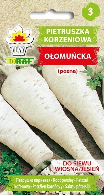 Pietruszka OŁOMUŃCKA (późna) Petroselinum crispum
