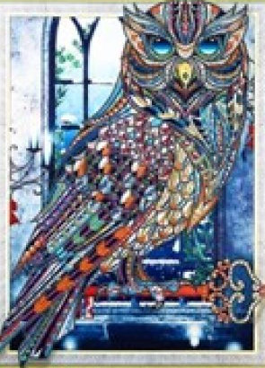 Norimpex Diamentowa mozaika Mandala 7D Sowa 40x30cm 1006658