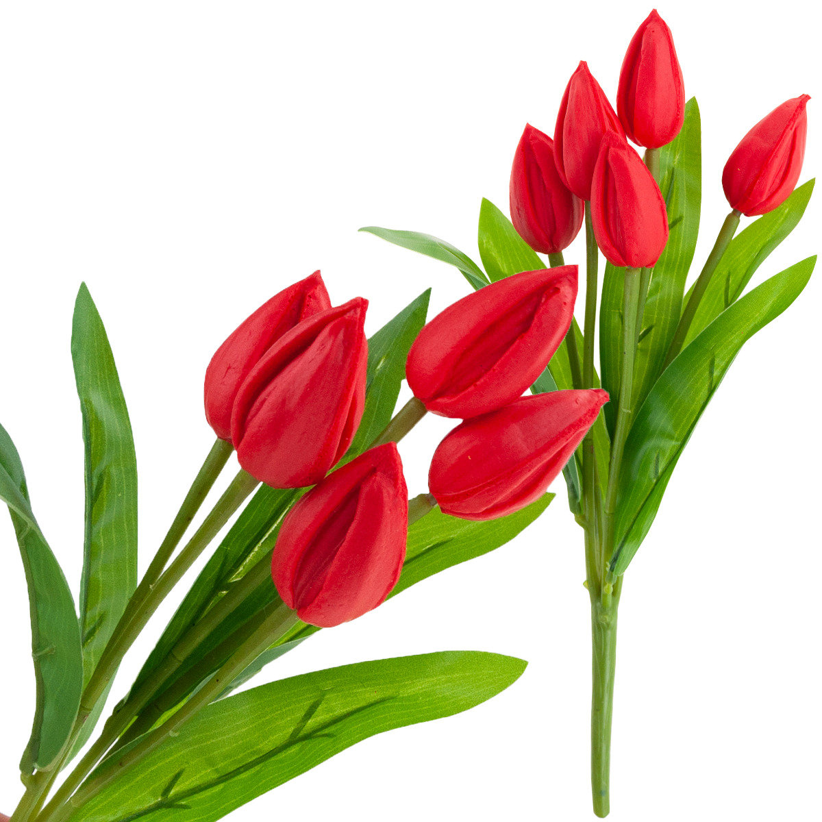 Tulipan Bukiet Tulipanów Czerwony Piękny Jak Żywy