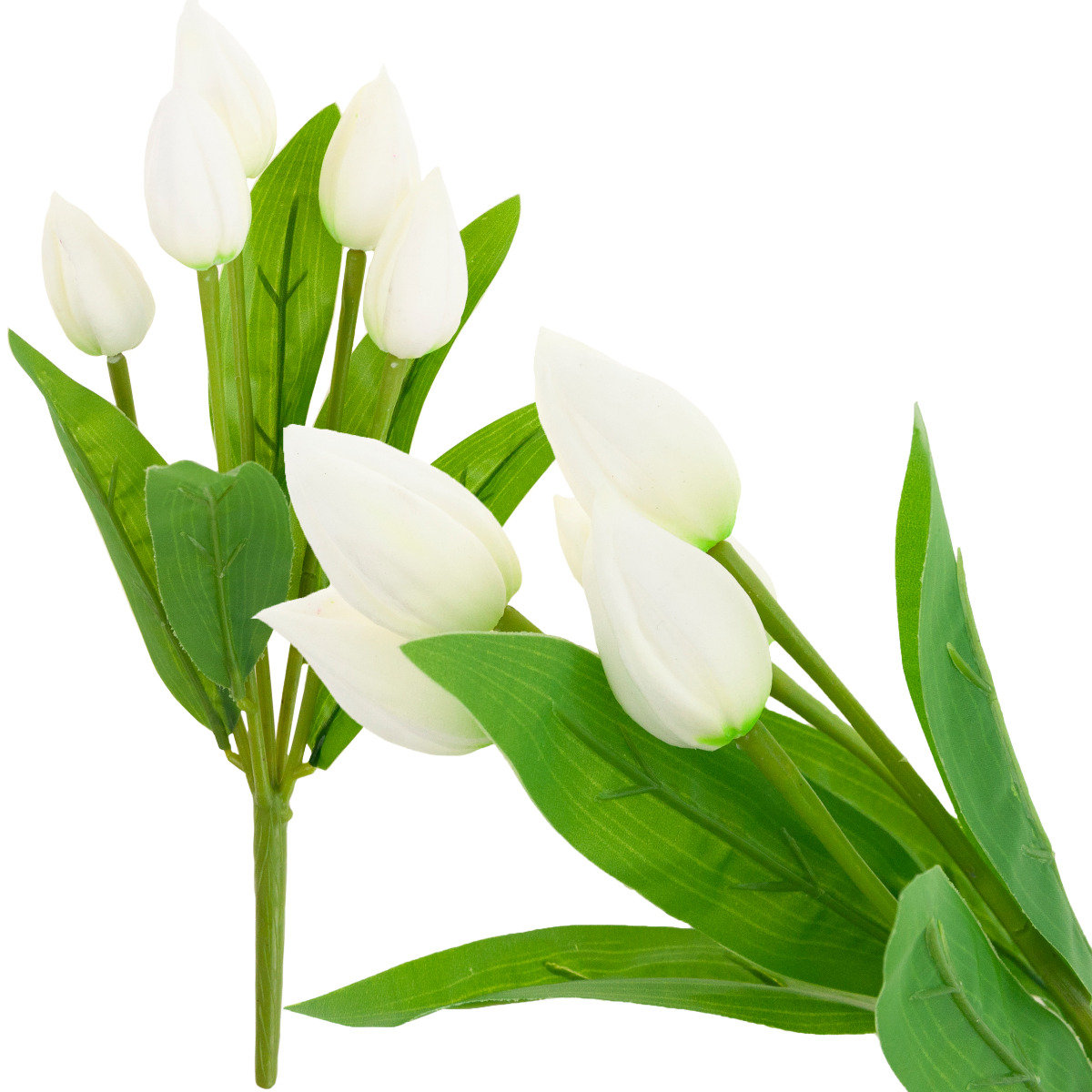 Tulipan Bukiet Tulipanów Biały Piękny Jak Żywy