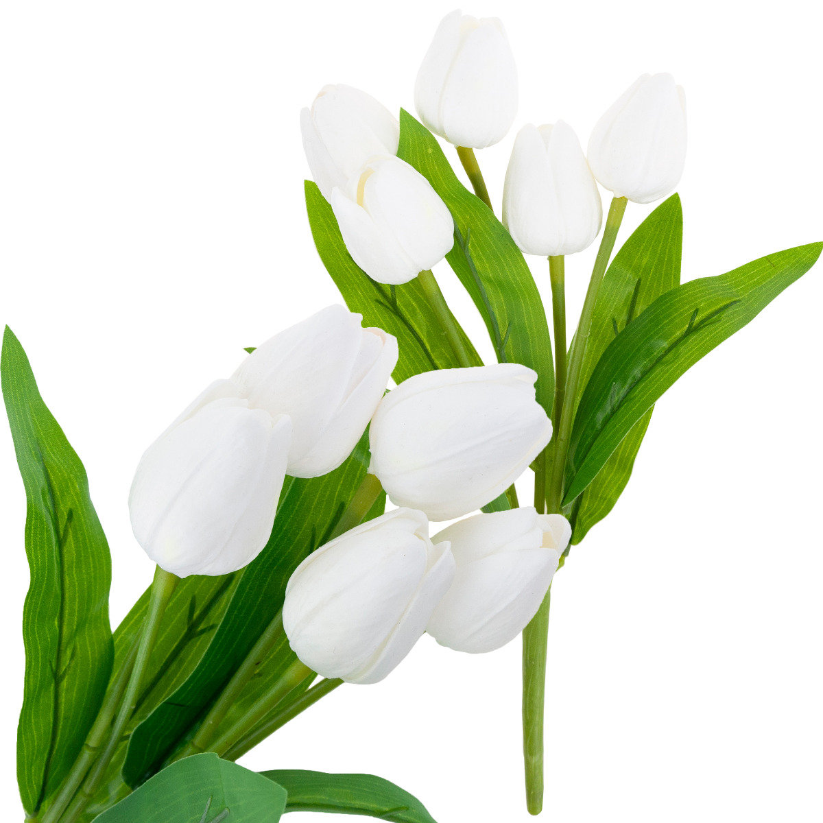 Tulipan Bukiet Tulipanów Biały Piękny Jak Żywy