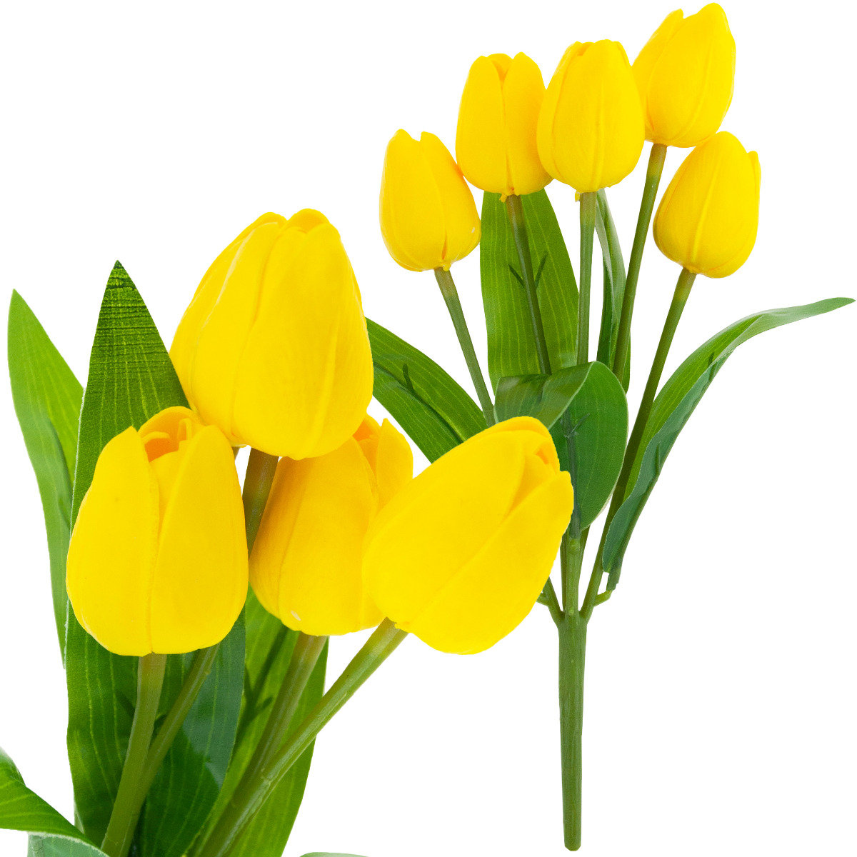 Tulipan Bukiet Tulipanów Żółty Piękny Jak Żywy