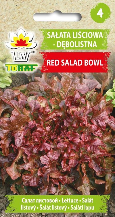 Toraf WARZYWA Sałata Red Salad Bowl 1g nasiona 01414
