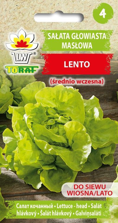 Sałata Masłowa Lento (Śr. Wczesna)
Lactuca Sativa L.